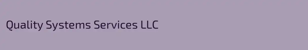 Quality Systems Services LLC